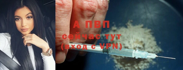индика Каменск-Шахтинский
