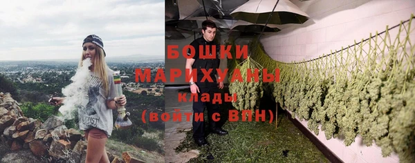 индика Каменск-Шахтинский