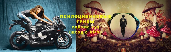 индика Каменск-Шахтинский