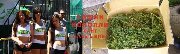 индика Каменск-Шахтинский